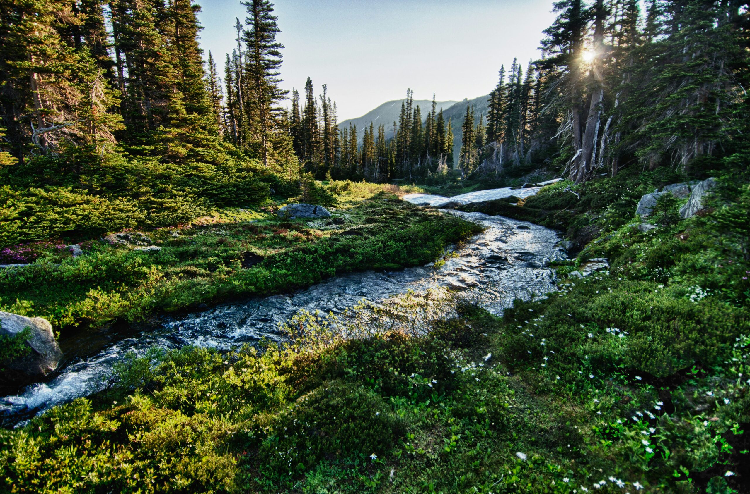 river flow